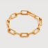 Capture Charm Bracelet